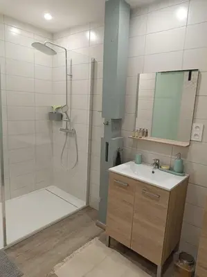 Salle de bains dans l'établissement L'appart' Centre ville 3 chambres