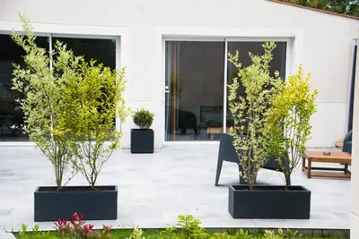 Jardin de l'établissement Le Petit Candie
