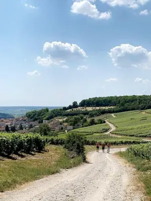 Paysage naturel près de l'appartement