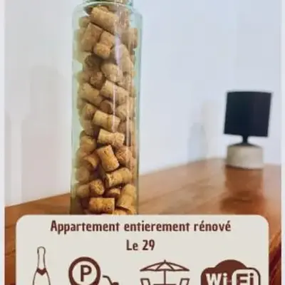 le 29 - Appartement au coeur du vignoble champenois