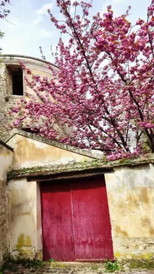 Bâtiment de l'appartement