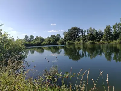Paysage naturel près de la maison de vacances