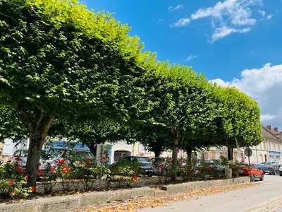 Jardin de l'établissement Nouveau ! Place Gambetta superbe 2 pièces avec cour ensoleillée