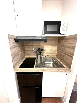 Cuisine ou kitchenette dans l'établissement L'Emile Zola 2