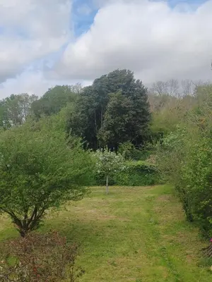 Paysage naturel près de le B&B/chambre d'hôtes