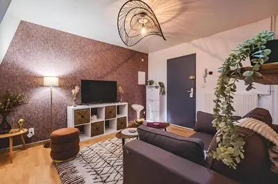 Télévision ou salle de divertissement dans l'établissement Tulipe hypercentre fantastique