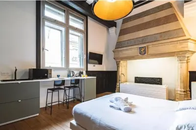 Un ou plusieurs lits dans un hébergement de l'établissement Fire, Appartement vue Cathédrale