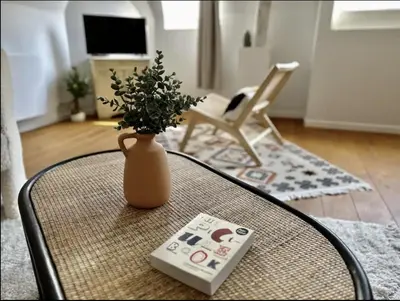 Télévision ou salle de divertissement dans l'établissement Eucalyptus - Reims