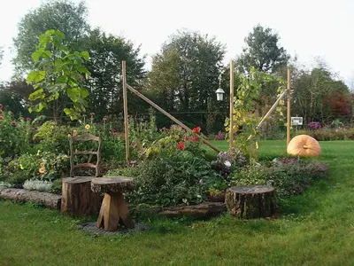 Jardin de l'établissement Grain d'orge et cornouiller