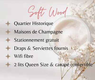 Plan de l'établissement Soft Wood - Duplex - Historique