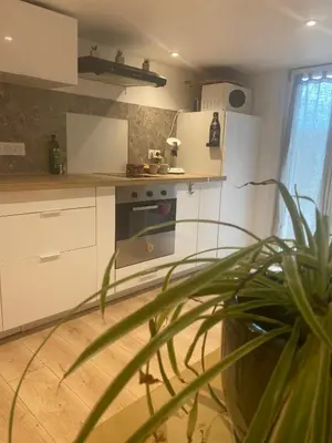 Cuisine ou kitchenette dans l'établissement Le carolo