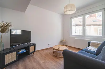 Télévision ou salle de divertissement dans l'établissement Balthazar Fauvette, bel appart hyper centre Epernay