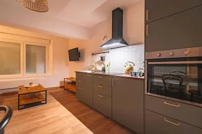 Cuisine ou kitchenette dans l'établissement Jeroboam Fauvette, bel appartement hyper centre Epernay