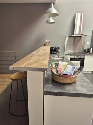 Cuisine ou kitchenette dans l'établissement Chic 4 personnes Hypercentre 5 Minutes Avenue De Champagne