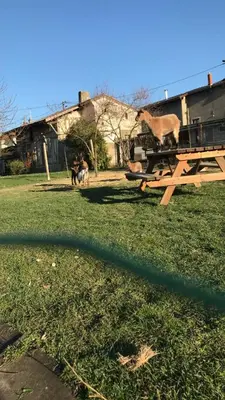 Bâtiment de la maison de vacances