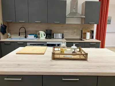 Cuisine ou kitchenette dans l'établissement Loft des oiselets