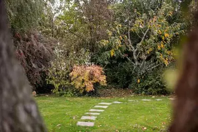 Jardin de l'établissement Au Gré Des Lis - La Suite Du Chêne