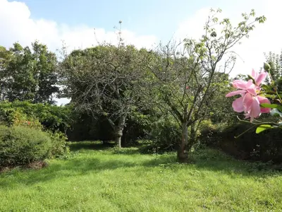Jardin de l'établissement Le Jardin d'Aimee by La boite en Plus