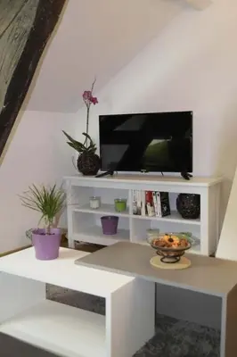 Télévision ou salle de divertissement dans l'établissement Bel F2 Nogent Gare sur place