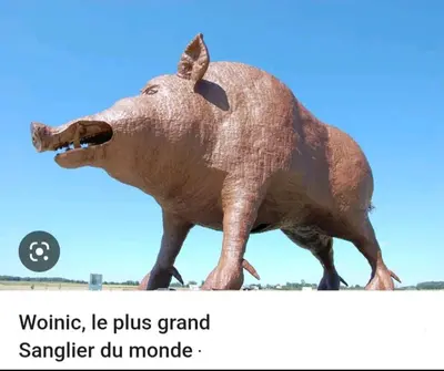 Animaux dans l'appartement ou à proximité