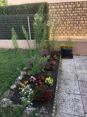 Jardin de l'établissement L'Oasis Champenois - Terrace, Garden, Wifi