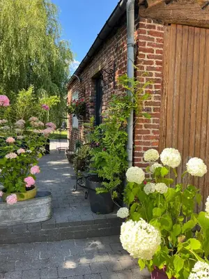 Jardin de l'établissement Au petit bonheur de séraphine