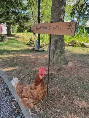 Plan de l'établissement Au petit bonheur de séraphine