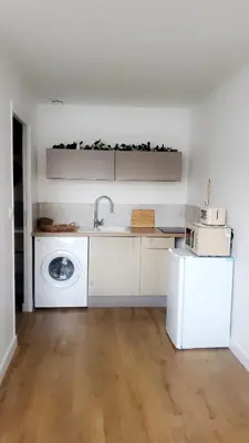 Cuisine ou kitchenette dans l'établissement appartement Le bohème