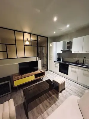 Cuisine ou kitchenette dans l'établissement Appartement art deco Reims