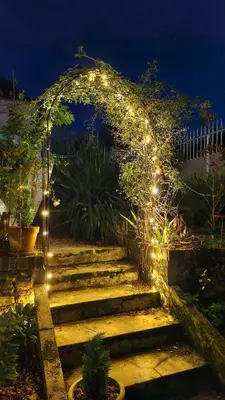 Jardin de l'établissement Gîte indépendant et intimiste dans une Maison d'artistes, 3 min de la Ferté-sous-Jouarre, 42 min de Paris TER, 35 min de Disney, 10 min de l'A4