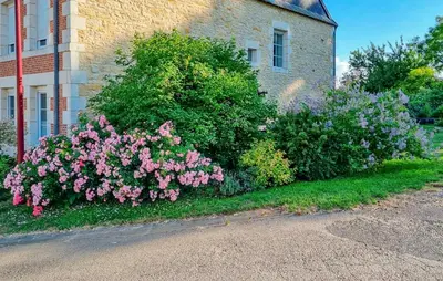 Jardin de l'établissement Stunning Home In Flaignes-Havys