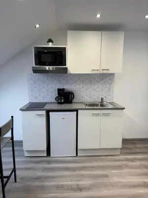 Cuisine ou kitchenette dans l'établissement Confortable Studio - Centre ville