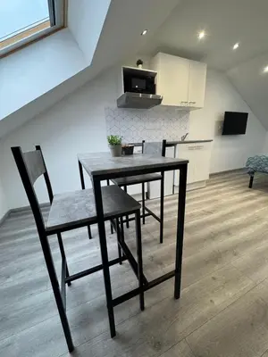 Cuisine ou kitchenette dans l'établissement Confortable Studio - Centre ville