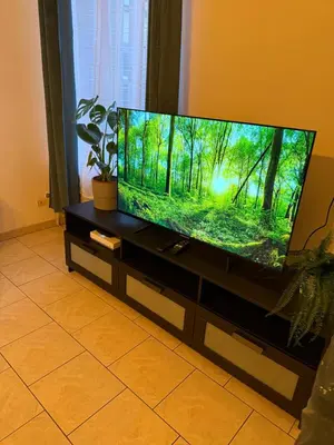Télévision ou salle de divertissement dans l'établissement Le Shamma lodge