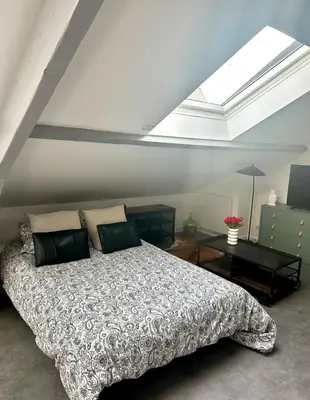 Un ou plusieurs lits dans un hébergement de l'établissement VESLE Studio lumineux en hyper centre de Reims