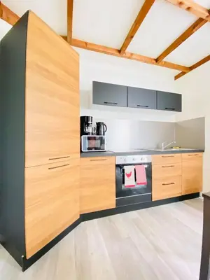 Cuisine ou kitchenette dans l'établissement Rez-de-chaussée Saint Marcel jardin partagé