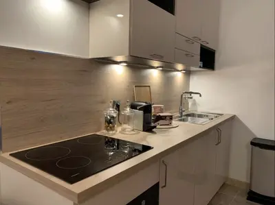 Cuisine ou kitchenette dans l'établissement La Suite Carmen - Hypercentre de Reims