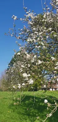 Jardin de l'établissement Chez Grand Maman