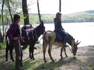 Équitation au sein de l'appartement ou à proximité