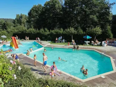 Piscine de l'établissement Holiday Home in Grand Est ou située à proximité