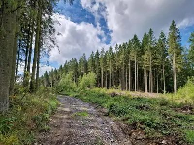 Paysage naturel près de l'appartement