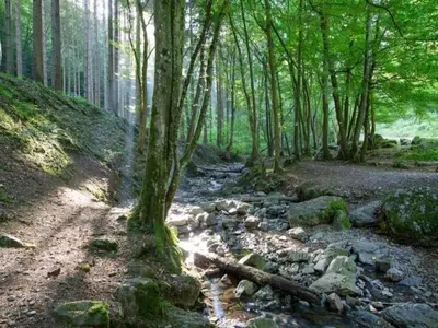 Paysage naturel près de l'appartement