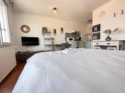 Télévision ou salle de divertissement dans l'établissement La suite des 3 piliers studio avec parking privé
