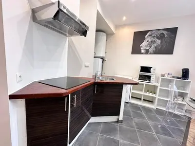 Cuisine ou kitchenette dans l'établissement Carreret chic et cocon proche centre ville
