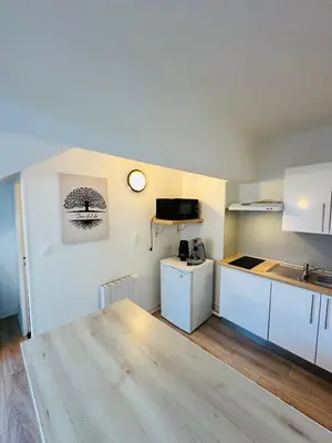 Cuisine ou kitchenette dans l'établissement Le studio du moulin