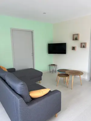 Télévision ou salle de divertissement dans l'établissement Vendangeoir du gîte du clos pommier
