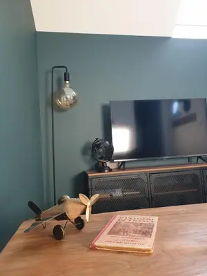 Télévision ou salle de divertissement dans l'établissement Appartement La Buissonnière