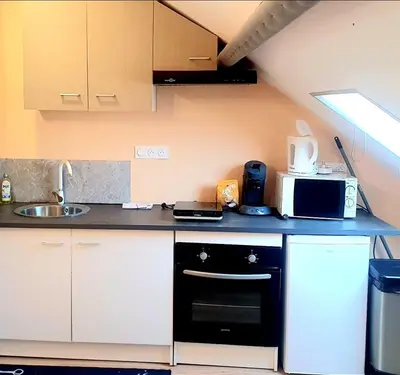 Cuisine ou kitchenette dans l'établissement Appartement Plein Centre