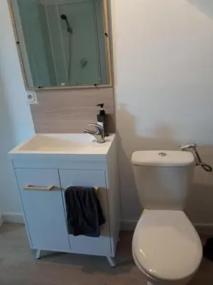 Salle de bains dans l'établissement Le GM - appartement proche gare et commerces