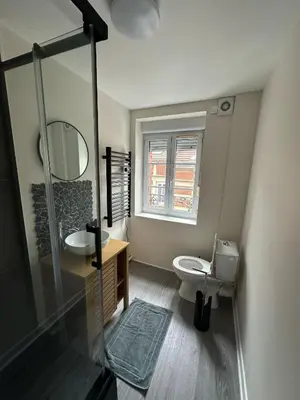 Salle de bains dans l'établissement Le chal'heureux, Appartement chic au cœur d'Épernay